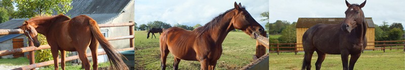 Fonds de dotation Jean de Luz